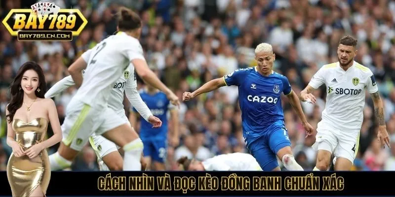 Những ký hiệu cơ bản trong kèo đồng banh là gì